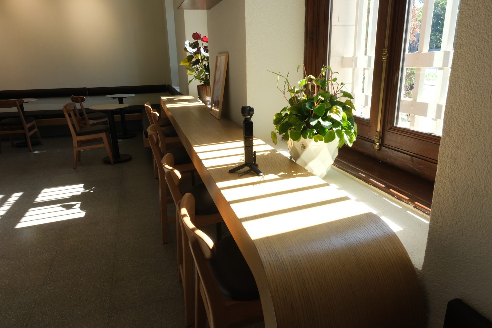 Sunlit wooden seating along the windows inside Roots & Roasted